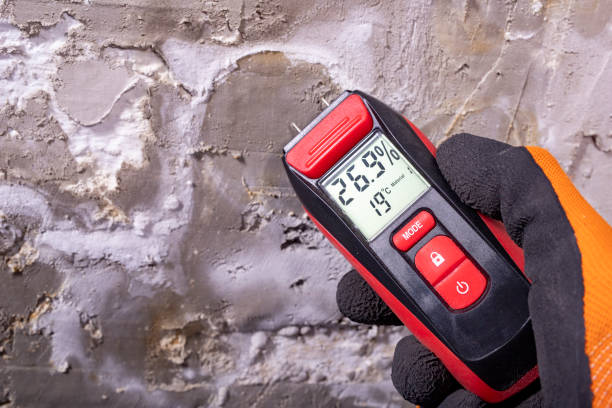 Best Attic Mold Removal  in Lyons, WI