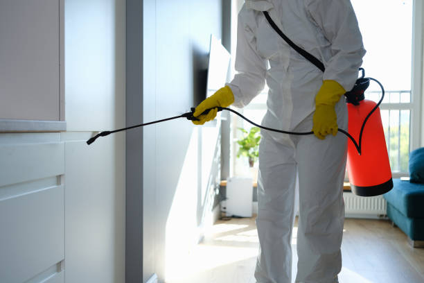 Best Mold Removal and Inspection  in Lyons, WI